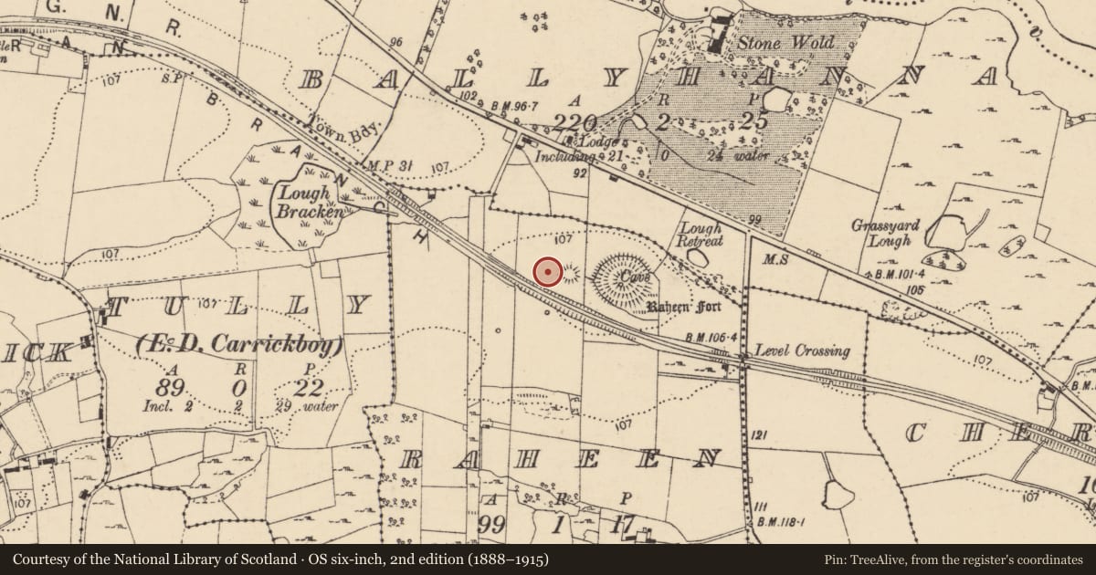 Ordnance Survey six-inch map, 2nd edition (1888–1915) covering the location of Enclosure, Raheen, County Donegal, with a pin at the register's coordinates
