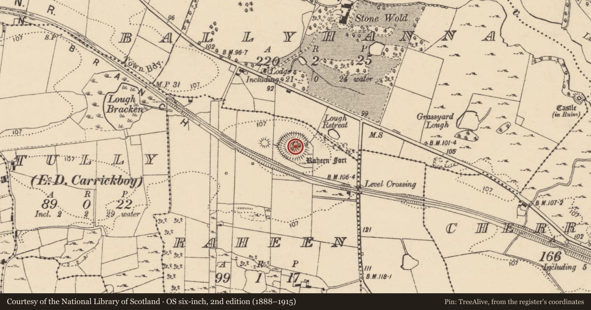 Ordnance Survey six-inch map, 2nd edition (1888–1915) covering the location of Ringfort - rath, Raheen, County Donegal, with a pin at the register's coordinates