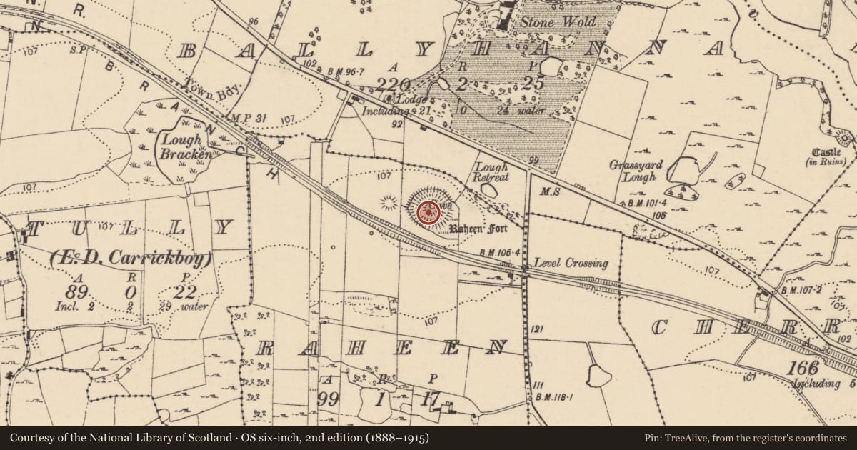 Ordnance Survey six-inch map, 2nd edition (1888–1915) covering the location of Souterrain, Raheen, County Donegal, with a pin at the register's coordinates