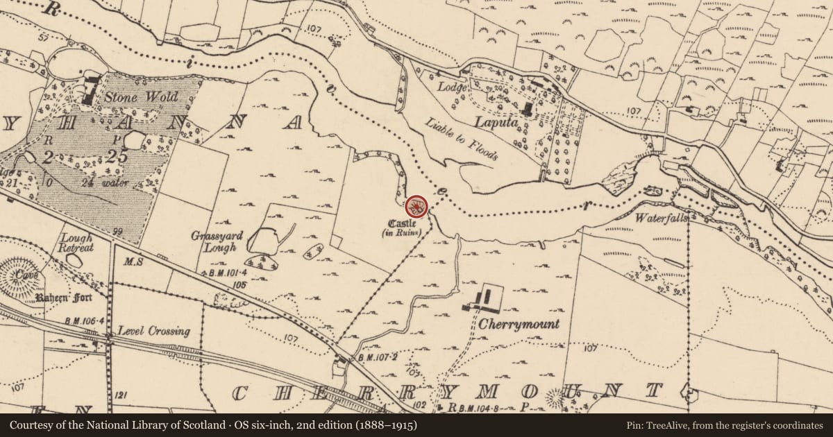 Ordnance Survey six-inch map, 2nd edition (1888–1915) covering the location of Castle - unclassified, Ballyhanna, County Donegal, with a pin at the register's coordinates