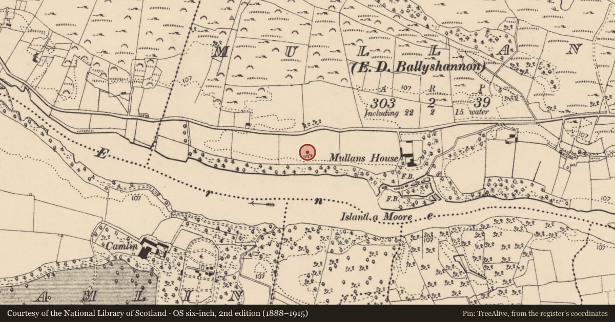 Ordnance Survey six-inch map, 2nd edition (1888–1915) covering the location of Standing stone, Mullans, County Donegal, with a pin at the register's coordinates