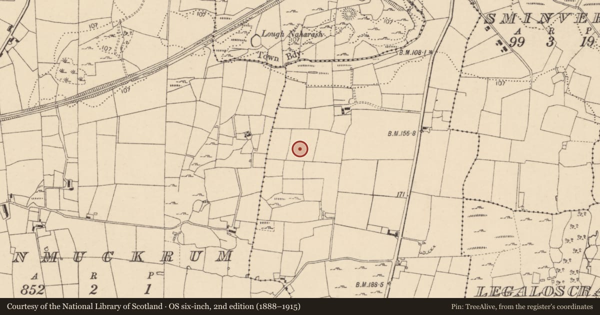 Ordnance Survey six-inch map, 2nd edition (1888–1915) covering the location of Standing stone, Ballymunterhiggin, County Donegal, with a pin at the register's coordinates