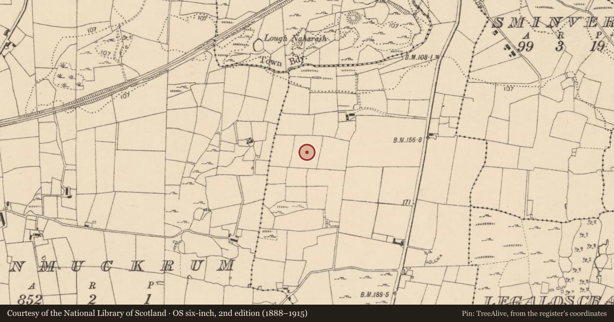 Ordnance Survey six-inch map, 2nd edition (1888–1915) covering the location of Standing stone, Ballymunterhiggin, County Donegal, with a pin at the register's coordinates