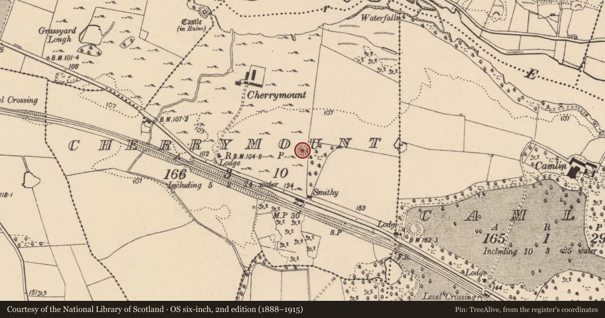 Ordnance Survey six-inch map, 2nd edition (1888–1915) covering the location of Ringfort - rath, Cherrymount, County Donegal, with a pin at the register's coordinates