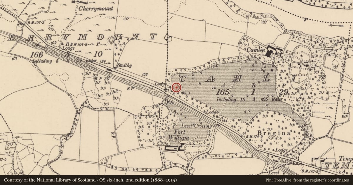 Ordnance Survey six-inch map, 2nd edition (1888–1915) covering the location of Ringfort - rath, Camlin, County Donegal, with a pin at the register's coordinates