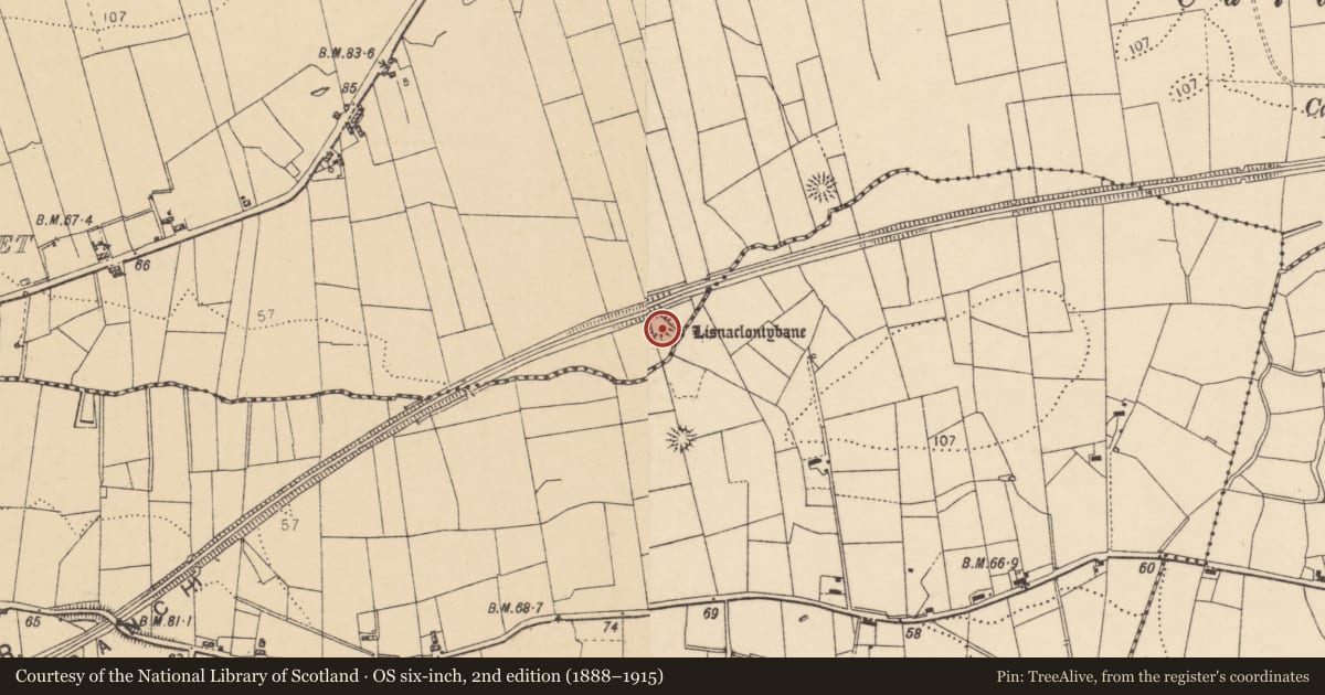 Ordnance Survey six-inch map, 2nd edition (1888–1915) covering the location of Ringfort - rath, Finner, County Donegal, with a pin at the register's coordinates