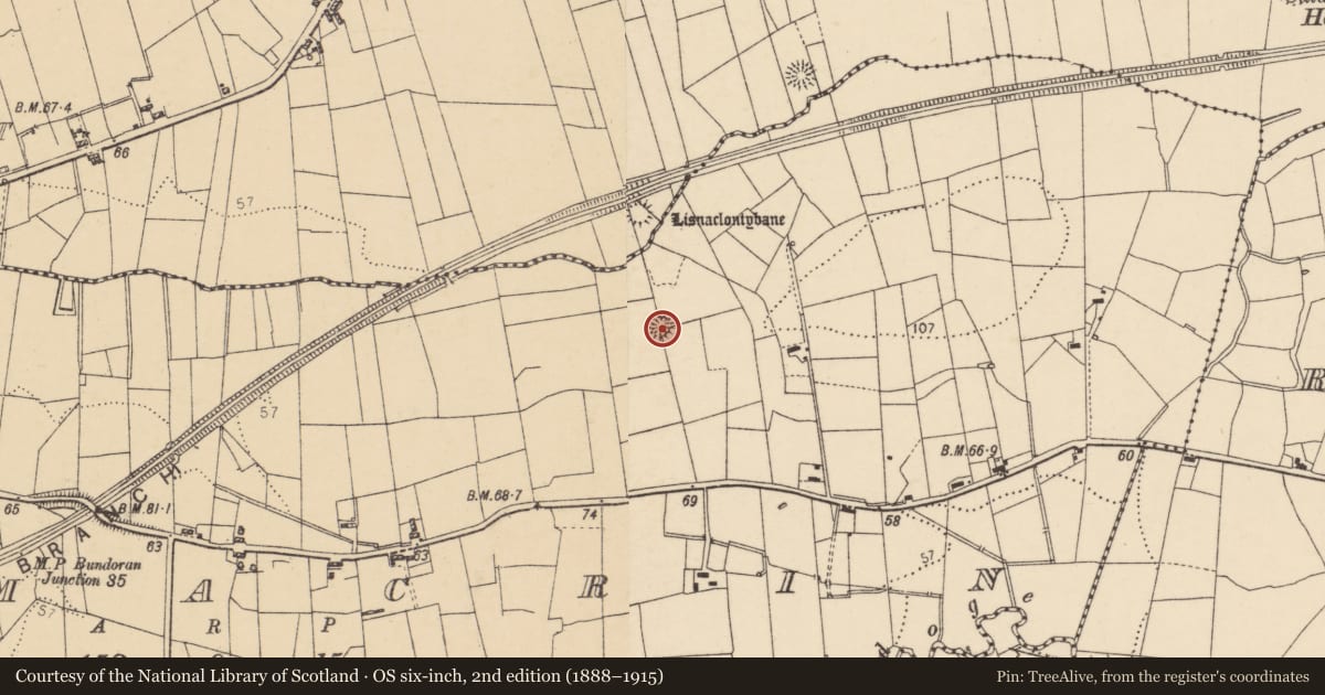 Ordnance Survey six-inch map, 2nd edition (1888–1915) covering the location of Ringfort - rath, Drumacrin, County Donegal, with a pin at the register's coordinates