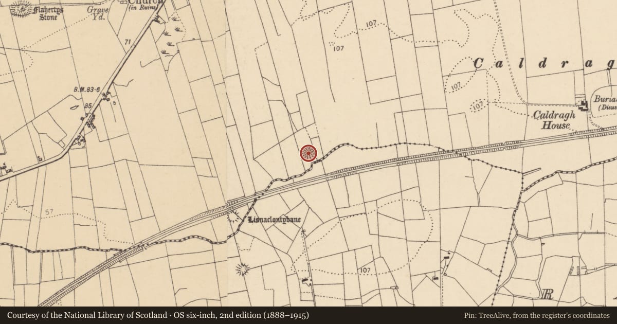 Ordnance Survey six-inch map, 2nd edition (1888–1915) covering the location of Ringfort - rath, Finner, County Donegal, with a pin at the register's coordinates