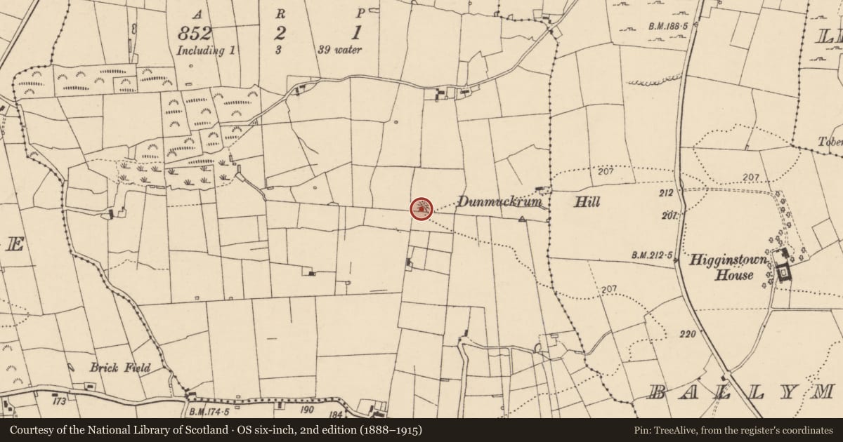Ordnance Survey six-inch map, 2nd edition (1888–1915) covering the location of Ringfort - rath, Dunmuckrum, County Donegal, with a pin at the register's coordinates