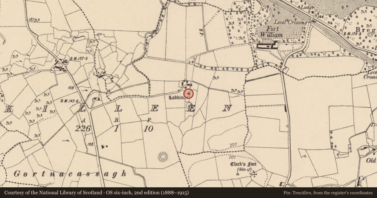 Ordnance Survey six-inch map, 2nd edition (1888–1915) covering the location of Megalithic tomb - court tomb, Killeen, County Donegal, with a pin at the register's coordinates