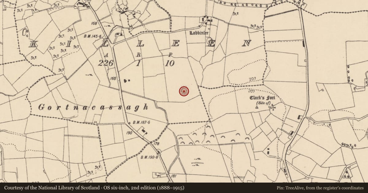 Ordnance Survey six-inch map, 2nd edition (1888–1915) covering the location of Ringfort - rath, Killeen, County Donegal, with a pin at the register's coordinates
