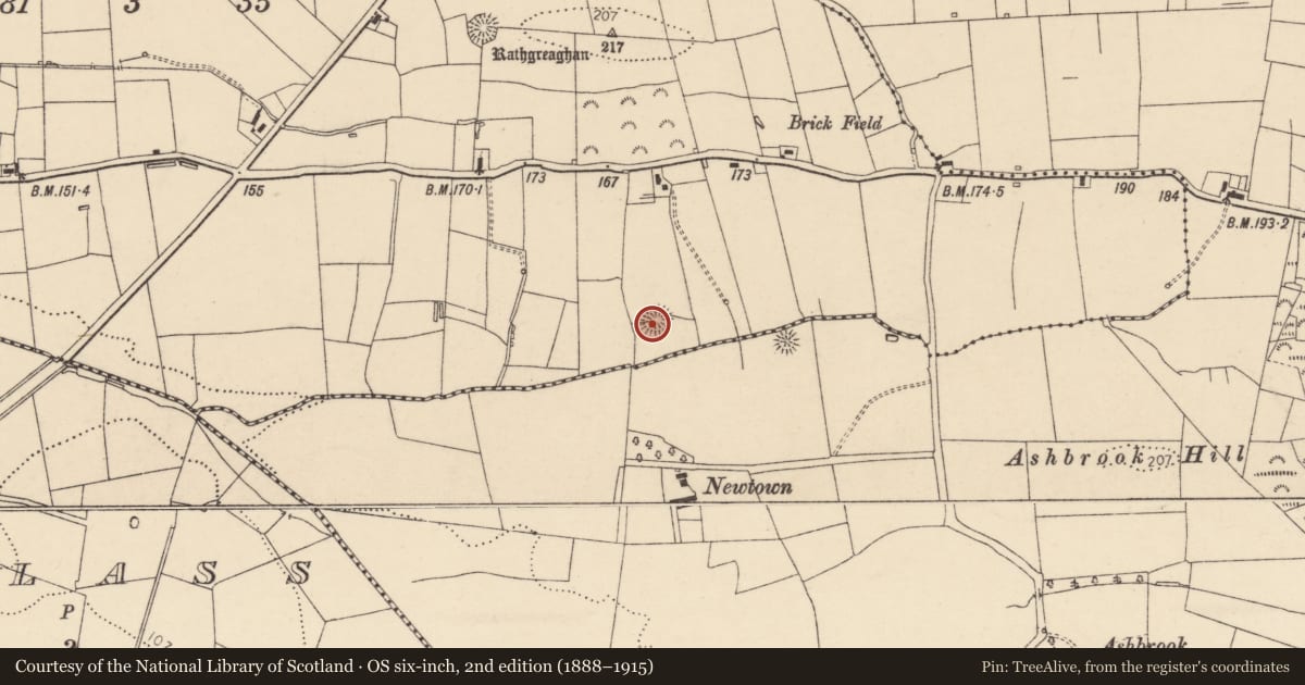Ordnance Survey six-inch map, 2nd edition (1888–1915) covering the location of Ringfort - rath, Rathmore, County Donegal, with a pin at the register's coordinates