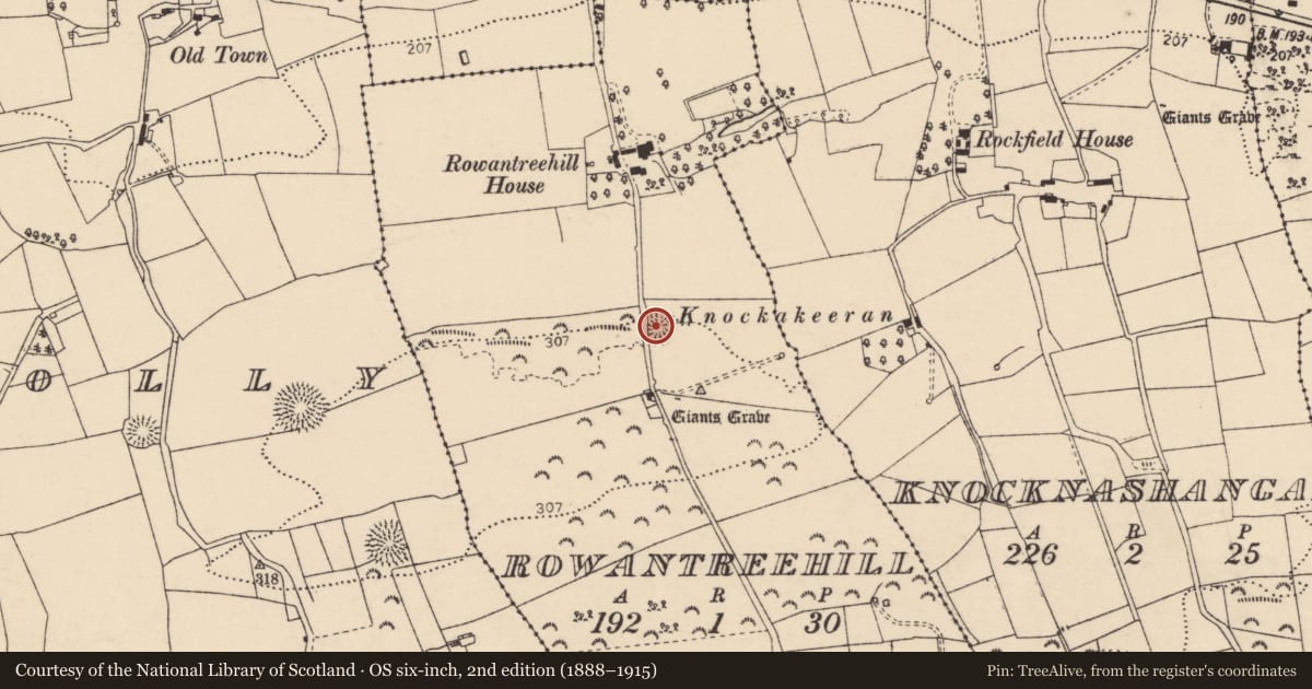 Ordnance Survey six-inch map, 2nd edition (1888–1915) covering the location of Ringfort - rath, Rowantreehill, County Donegal, with a pin at the register's coordinates