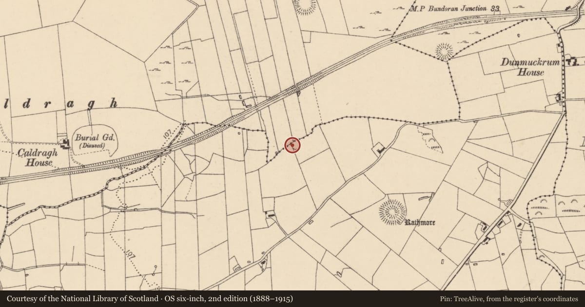 Ordnance Survey six-inch map, 2nd edition (1888–1915) covering the location of Enclosure, Finner, Rathmore, County Donegal, with a pin at the register's coordinates
