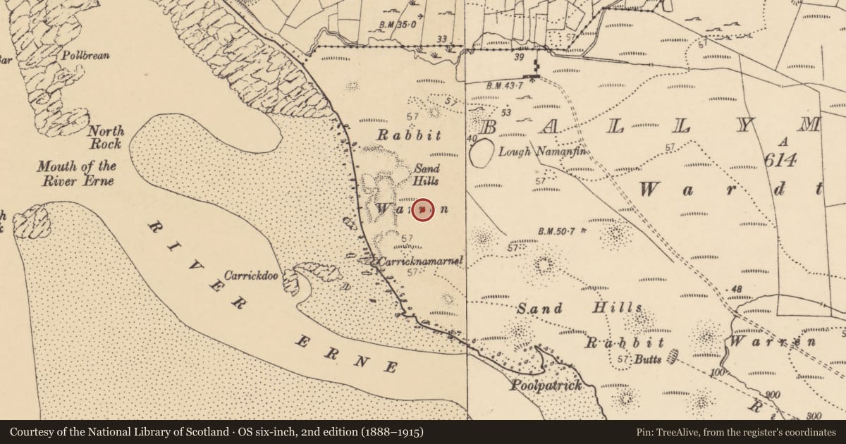 Ordnance Survey six-inch map, 2nd edition (1888–1915) covering the location of Cairn - unclassified, Ballymacaward, County Donegal, with a pin at the register's coordinates