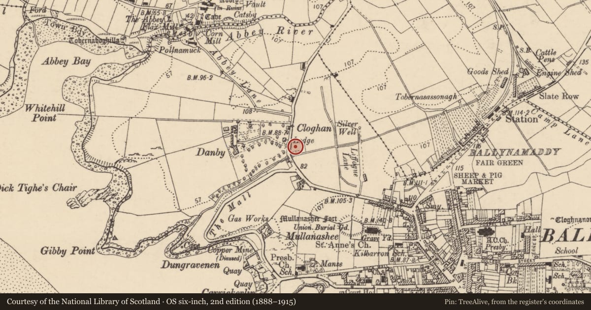 Ordnance Survey six-inch map, 2nd edition (1888–1915) covering the location of Designed landscape feature, Townparks, County Donegal, with a pin at the register's coordinates