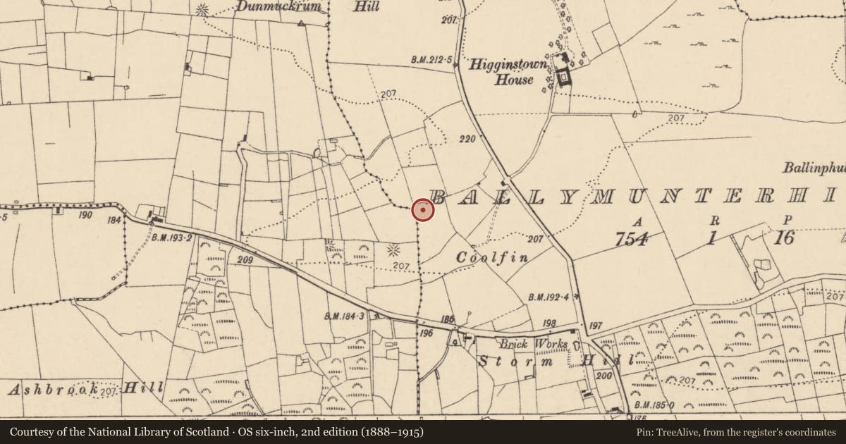 Ordnance Survey six-inch map, 2nd edition (1888–1915) covering the location of Ringfort - rath, Ballymunterhiggin, County Donegal, with a pin at the register's coordinates