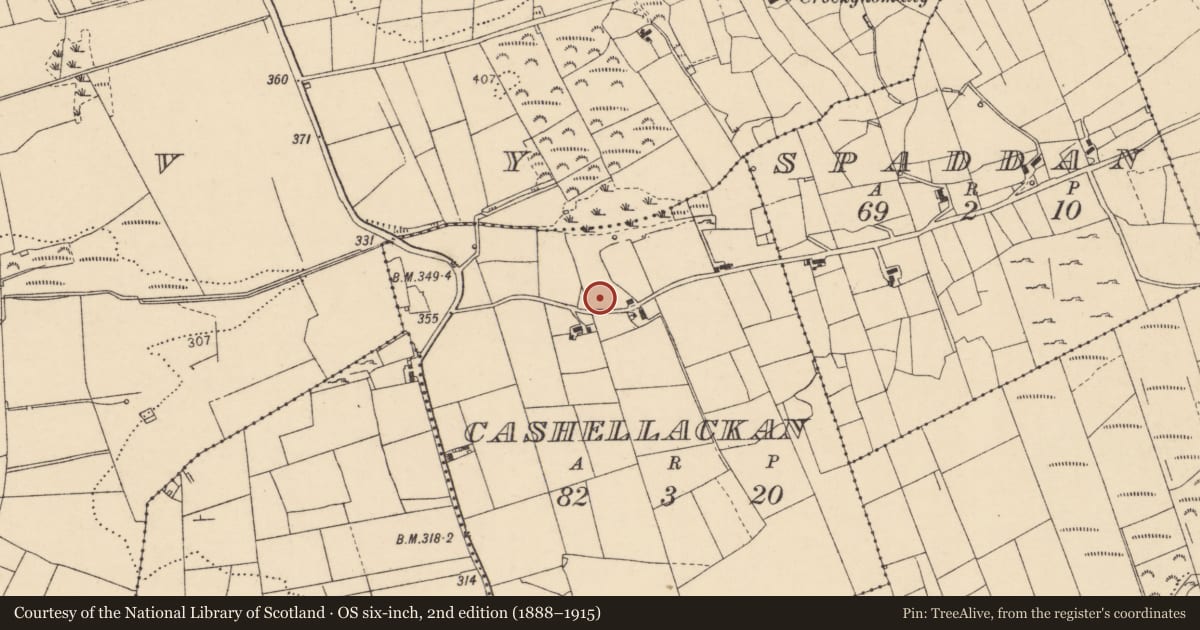 Ordnance Survey six-inch map, 2nd edition (1888–1915) covering the location of Ringfort - cashel, Cashellackan, County Donegal, with a pin at the register's coordinates