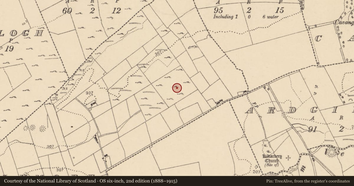 Ordnance Survey six-inch map, 2nd edition (1888–1915) covering the location of Ringfort - cashel, Tullymore, County Donegal, with a pin at the register's coordinates