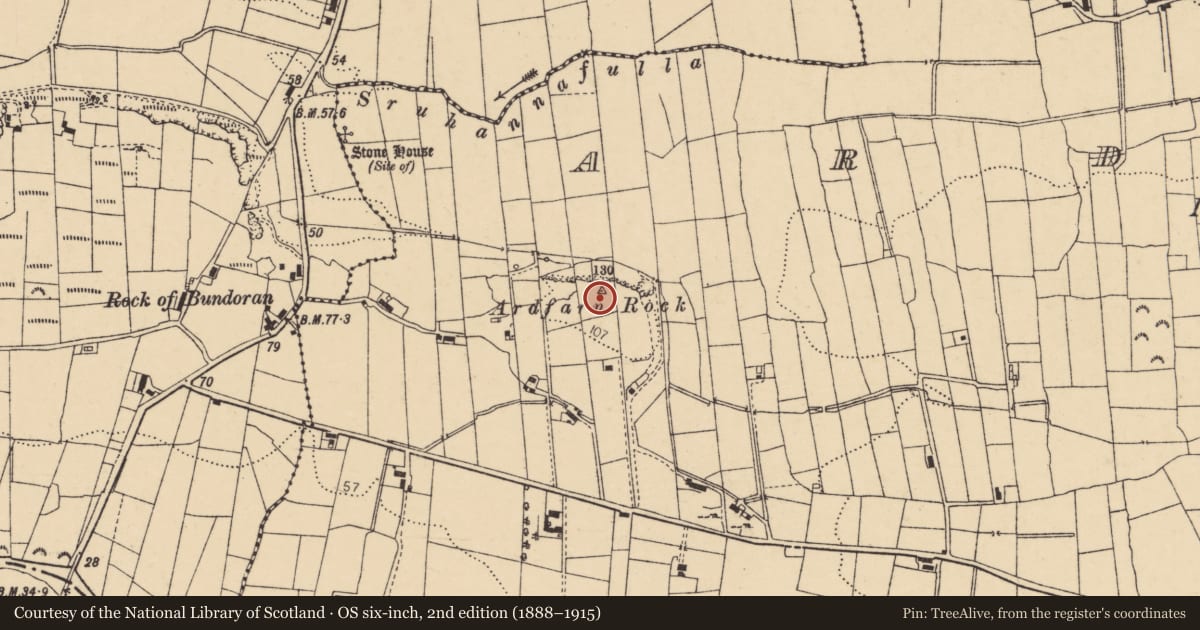 Ordnance Survey six-inch map, 2nd edition (1888–1915) covering the location of Ringfort - cashel, Ardfarn, County Donegal, with a pin at the register's coordinates