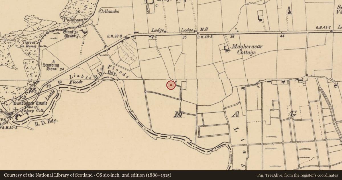 Ordnance Survey six-inch map, 2nd edition (1888–1915) covering the location of Burnt spread, Magheracar, County Donegal, with a pin at the register's coordinates