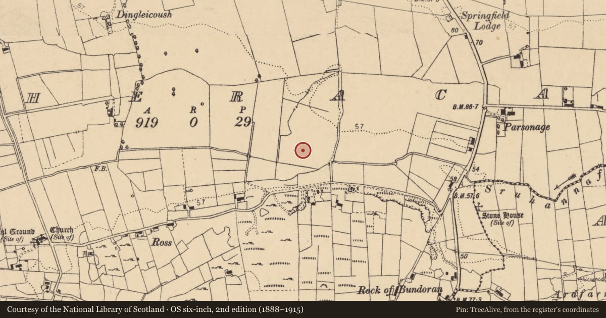 Ordnance Survey six-inch map, 2nd edition (1888–1915) covering the location of Pit-burial, Magheracar, County Donegal, with a pin at the register's coordinates