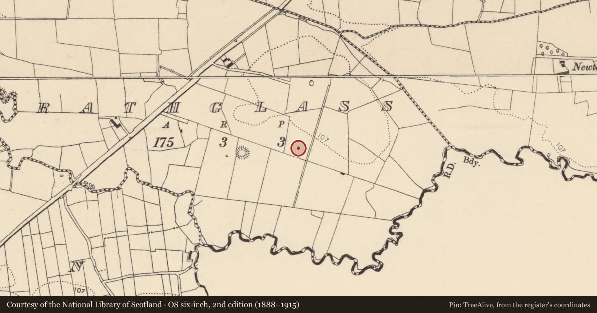 Ordnance Survey six-inch map, 2nd edition (1888–1915) covering the location of Ringfort - rath, Rathglass, County Donegal, with a pin at the register's coordinates