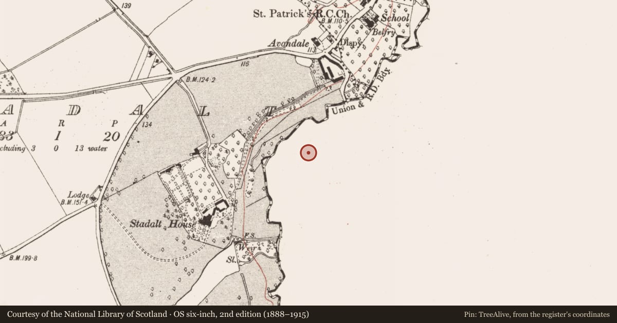 Ordnance Survey six-inch map, 2nd edition (1888–1915) covering the location of Quarry, Milestown, County Dublin, with a pin at the register's coordinates