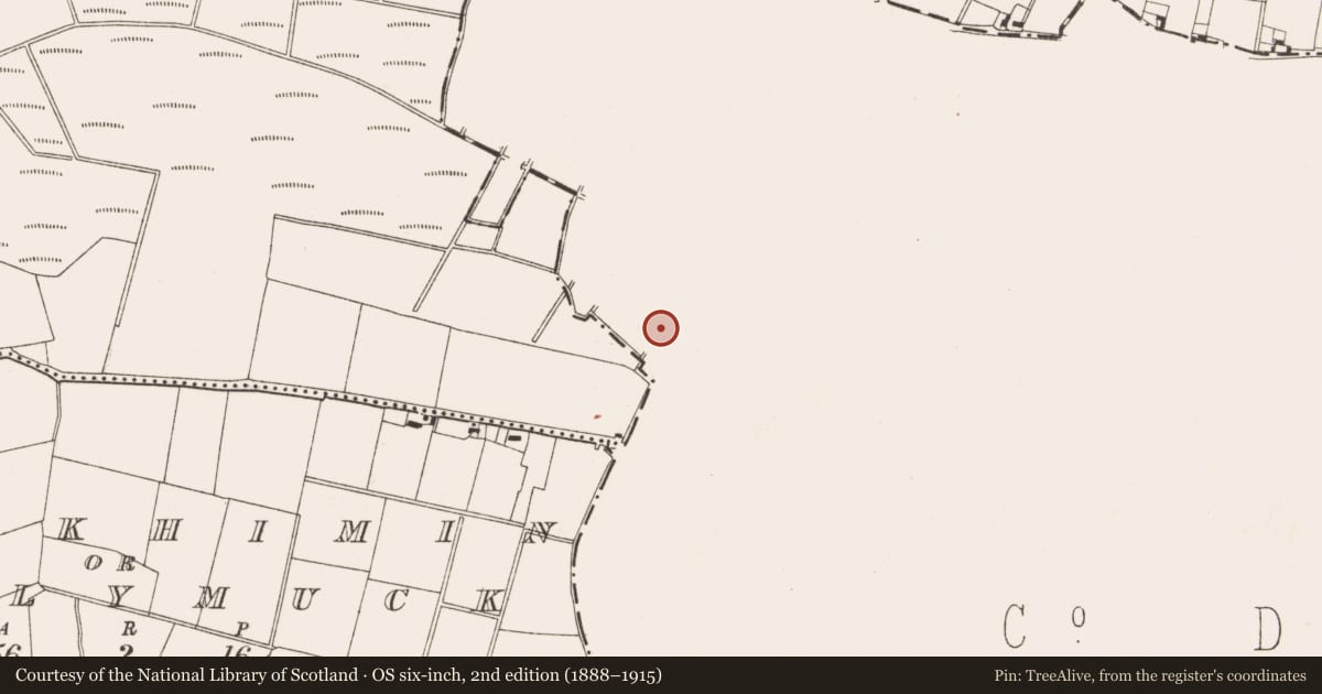 Ordnance Survey six-inch map, 2nd edition (1888–1915) covering the location of Ringfort - unclassified, Commons Upper, County Dublin, with a pin at the register's coordinates