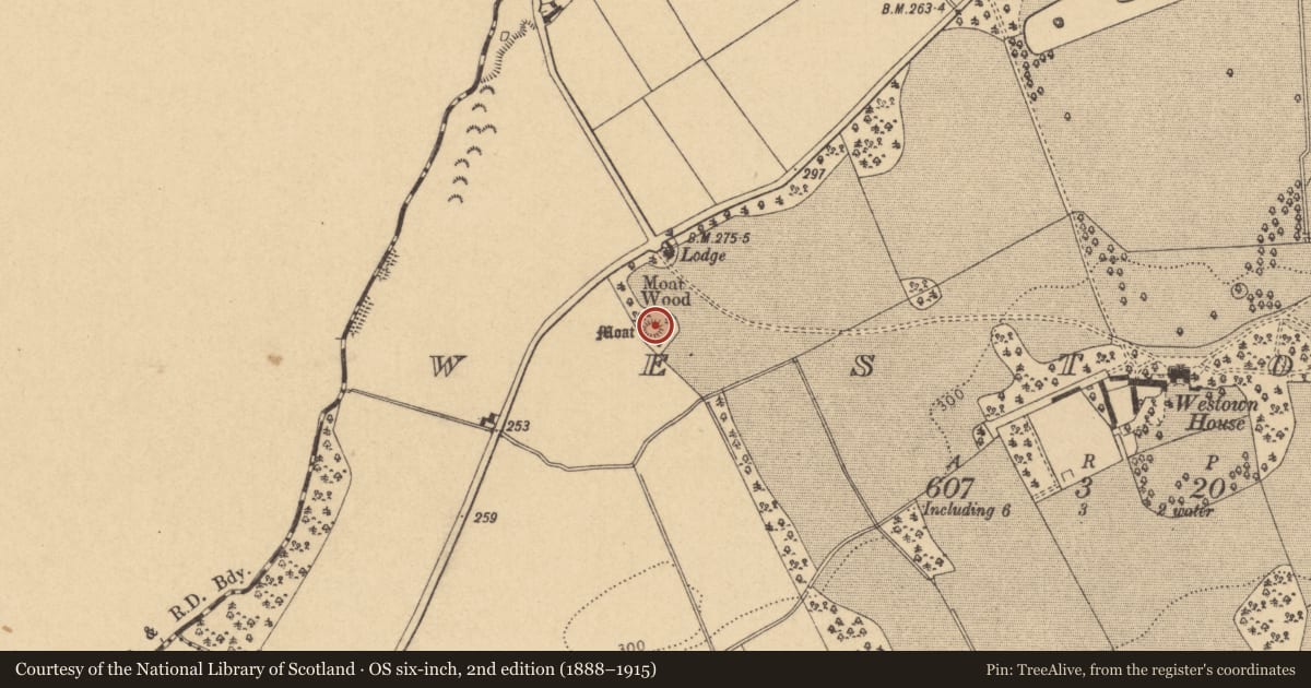 Ordnance Survey six-inch map, 2nd edition (1888–1915) covering the location of Barrow - stepped barrow, Westown, County Dublin, with a pin at the register's coordinates
