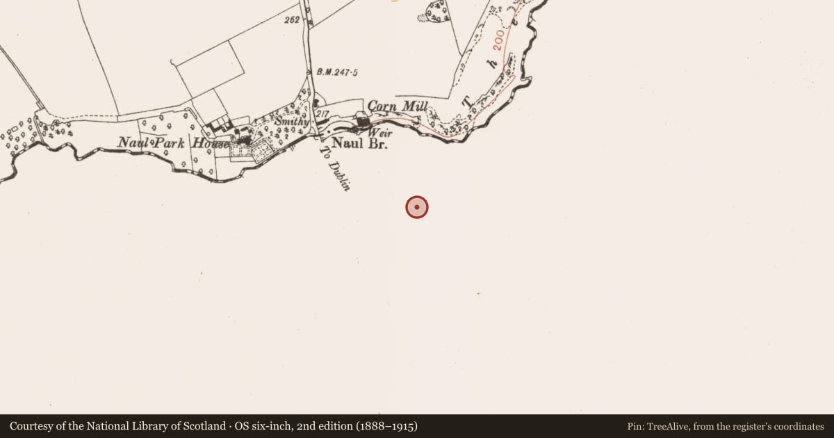 Ordnance Survey six-inch map, 2nd edition (1888–1915) covering the location of Cross, Naul, County Dublin, with a pin at the register's coordinates
