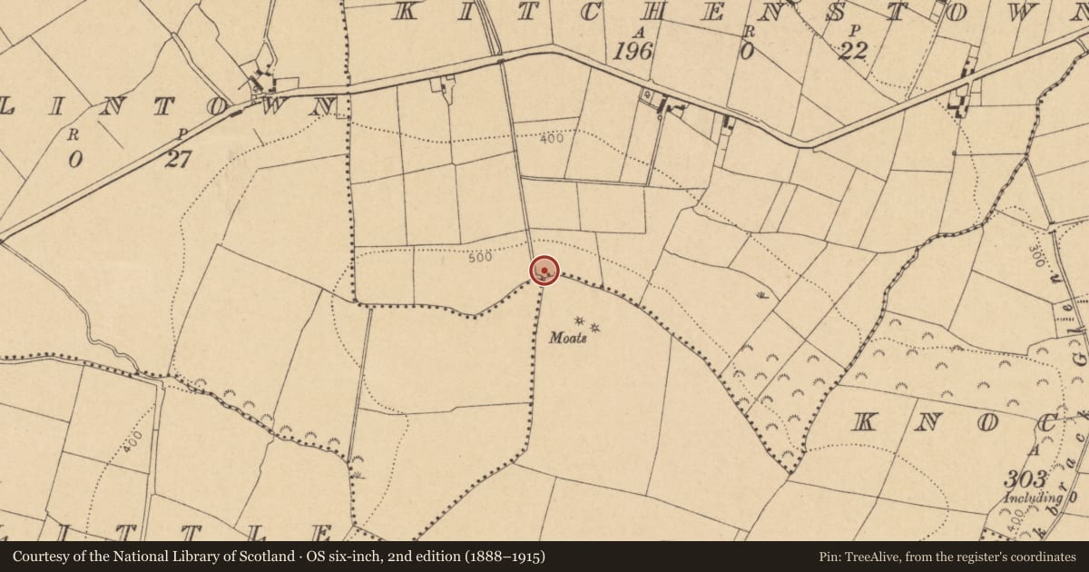 Ordnance Survey six-inch map, 2nd edition (1888–1915) covering the location of Barrow - unclassified, Kitchenstown, County Dublin, with a pin at the register's coordinates