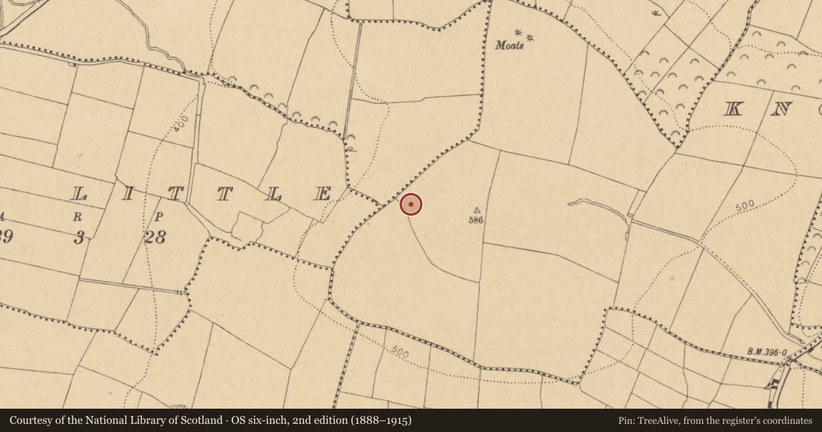 Ordnance Survey six-inch map, 2nd edition (1888–1915) covering the location of Ring-ditch, Knockbrack, County Dublin, with a pin at the register's coordinates
