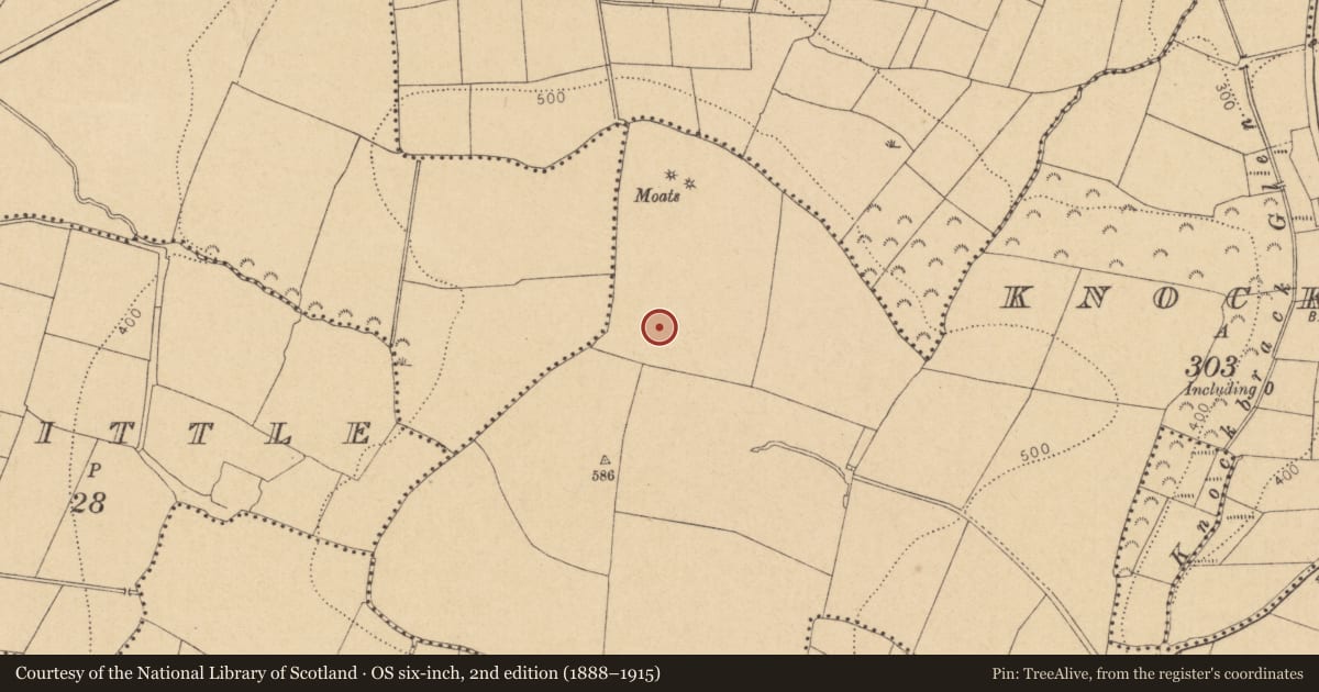 Ordnance Survey six-inch map, 2nd edition (1888–1915) covering the location of Ring-ditch, Knockbrack, County Dublin, with a pin at the register's coordinates