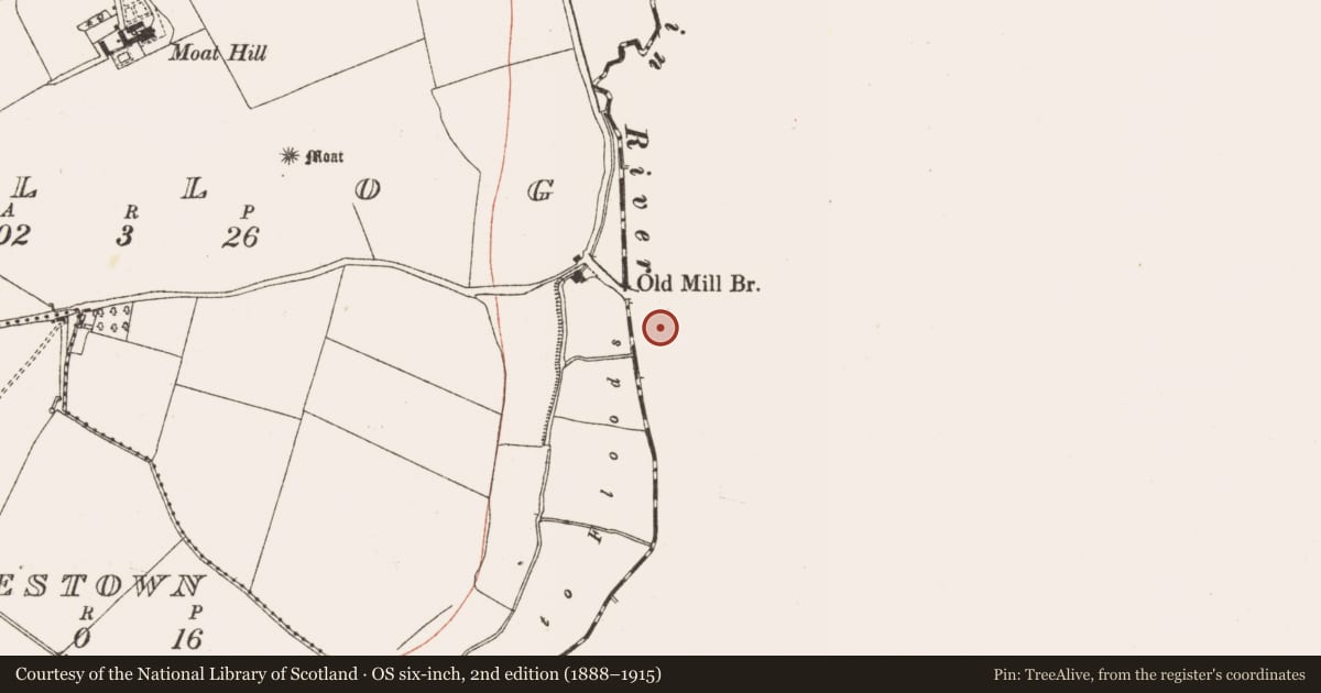 Ordnance Survey six-inch map, 2nd edition (1888–1915) covering the location of Watercourse, Reynoldstown, County Dublin, with a pin at the register's coordinates