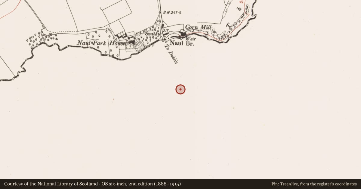 Ordnance Survey six-inch map, 2nd edition (1888–1915) covering the location of Inn, Westown, County Dublin, with a pin at the register's coordinates