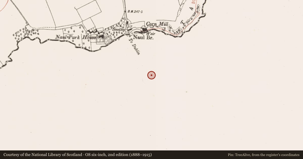 Ordnance Survey six-inch map, 2nd edition (1888–1915) covering the location of Settlement cluster, Naul, County Dublin, with a pin at the register's coordinates