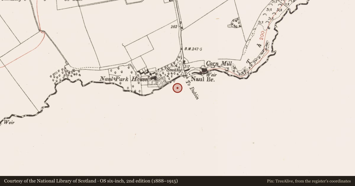 Ordnance Survey six-inch map, 2nd edition (1888–1915) covering the location of Water mill - unclassified, Westown, County Dublin, with a pin at the register's coordinates