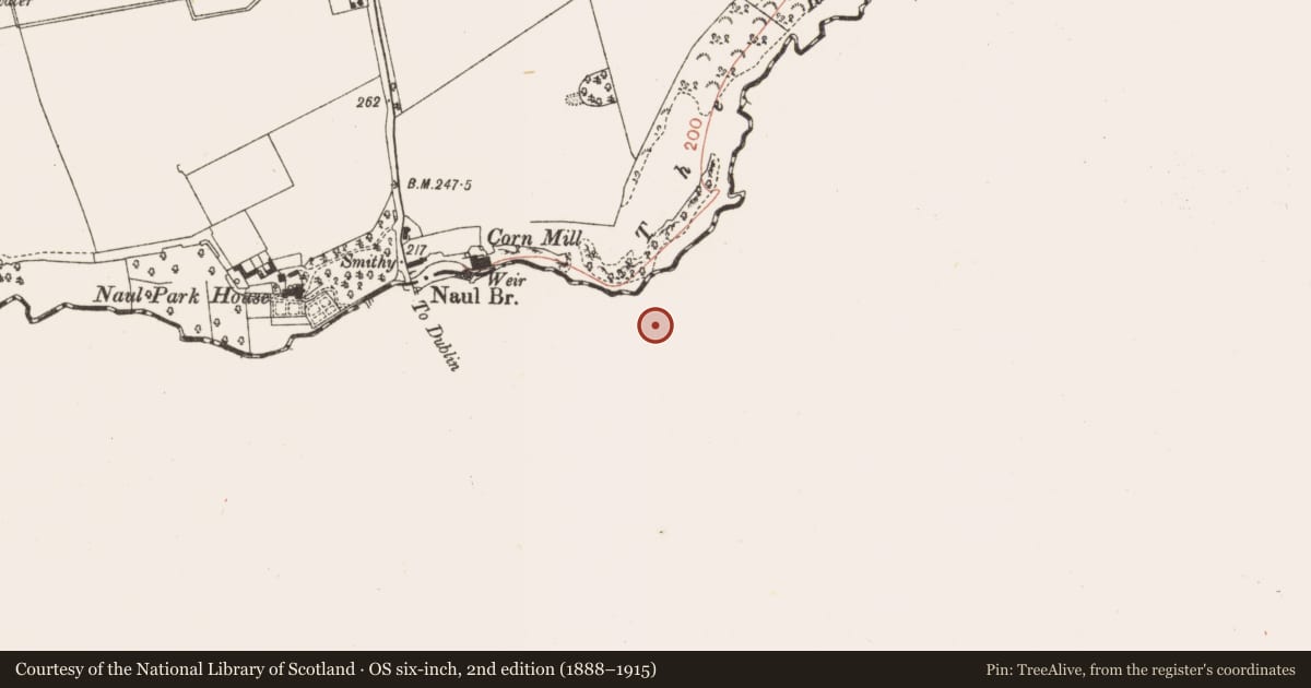 Ordnance Survey six-inch map, 2nd edition (1888–1915) covering the location of Ritual site - holy well, Naul, County Dublin, with a pin at the register's coordinates