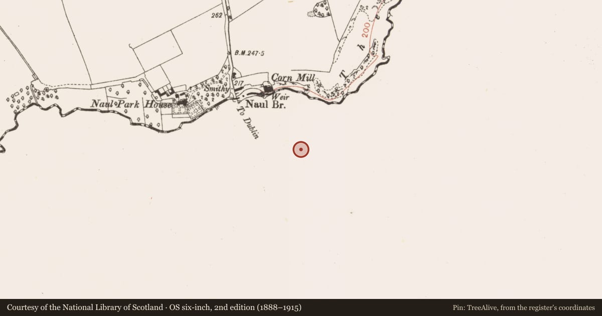 Ordnance Survey six-inch map, 2nd edition (1888–1915) covering the location of Church, Naul, County Dublin, with a pin at the register's coordinates