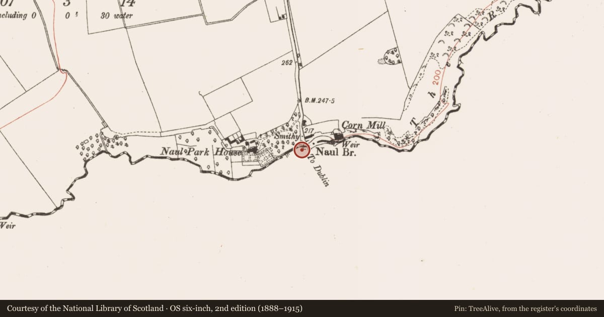 Ordnance Survey six-inch map, 2nd edition (1888–1915) covering the location of Bridge, Westown, County Dublin, with a pin at the register's coordinates