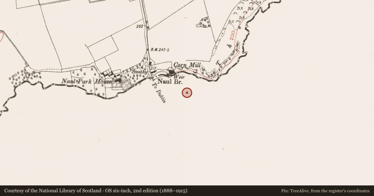 Ordnance Survey six-inch map, 2nd edition (1888–1915) covering the location of Quarry, Naul, County Dublin, with a pin at the register's coordinates