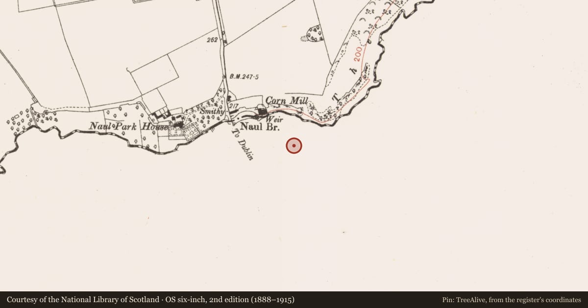 Ordnance Survey six-inch map, 2nd edition (1888–1915) covering the location of Kiln - lime, Naul, County Dublin, with a pin at the register's coordinates