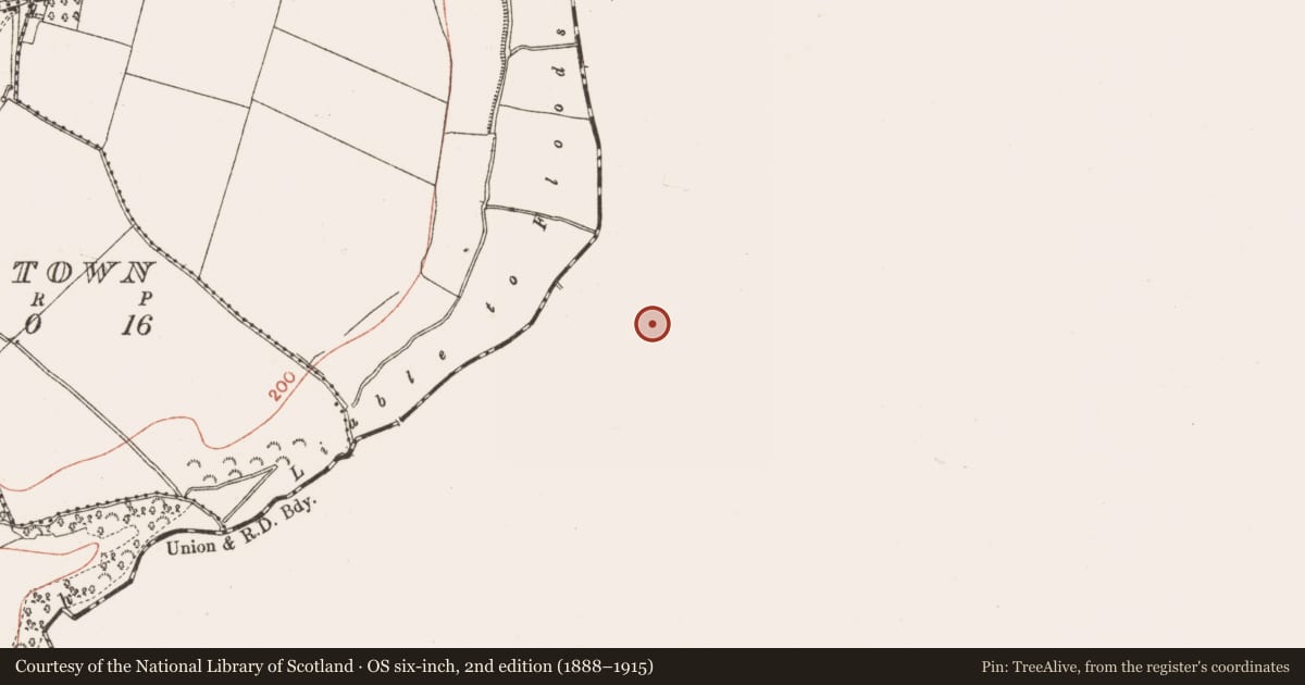 Ordnance Survey six-inch map, 2nd edition (1888–1915) covering the location of Church, Reynoldstown, County Dublin, with a pin at the register's coordinates