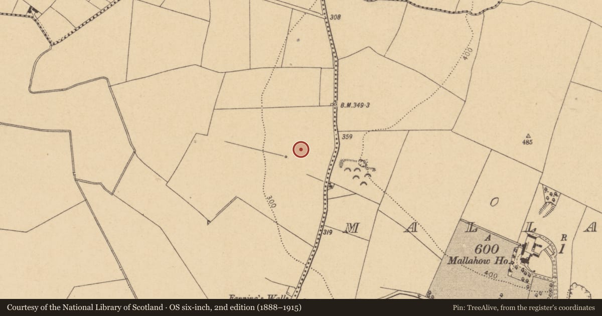 Ordnance Survey six-inch map, 2nd edition (1888–1915) covering the location of Enclosure, Grallagh, County Dublin, with a pin at the register's coordinates