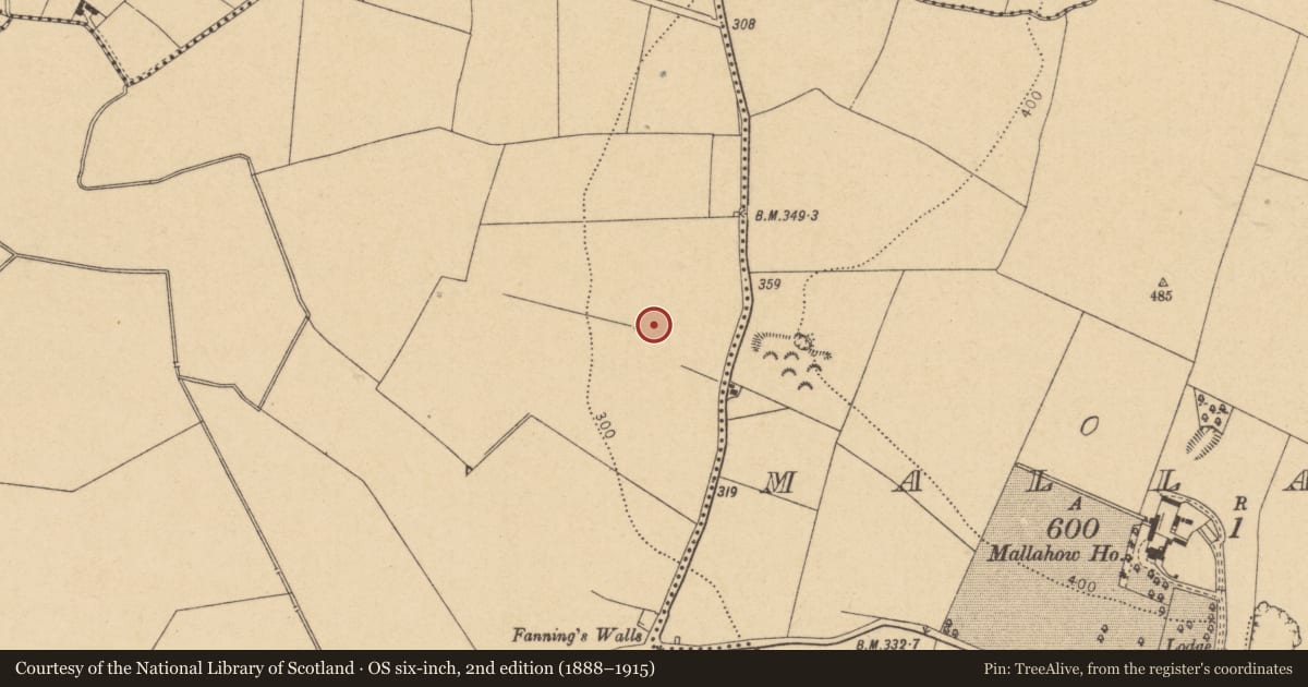 Ordnance Survey six-inch map, 2nd edition (1888–1915) covering the location of Field system, Grallagh, County Dublin, with a pin at the register's coordinates