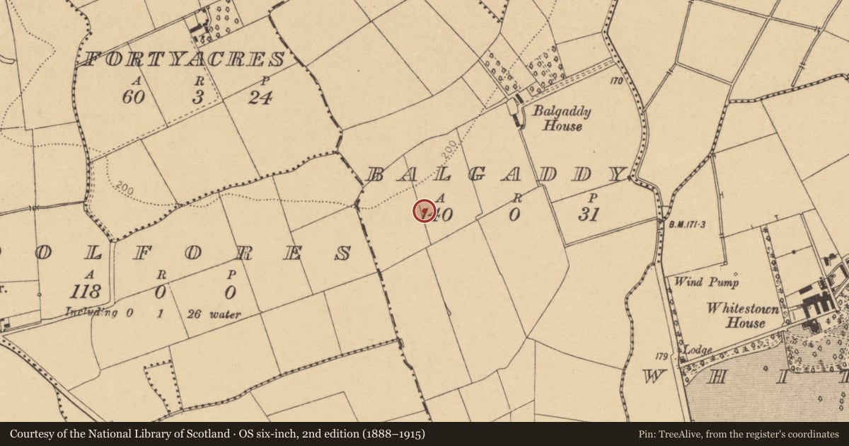 Ordnance Survey six-inch map, 2nd edition (1888–1915) covering the location of Field system, Balgaddy, County Dublin, with a pin at the register's coordinates