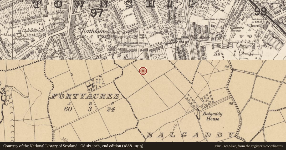 Ordnance Survey six-inch map, 2nd edition (1888–1915) covering the location of Field system, Balgaddy, County Dublin, with a pin at the register's coordinates