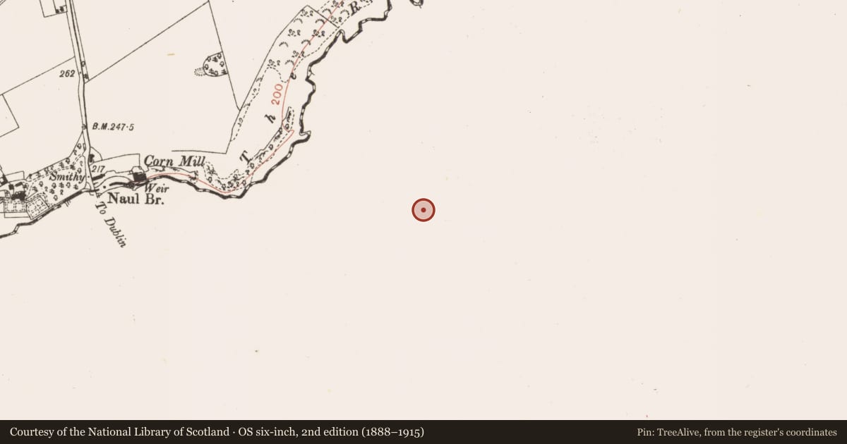 Ordnance Survey six-inch map, 2nd edition (1888–1915) covering the location of Enclosure, Naul, County Dublin, with a pin at the register's coordinates