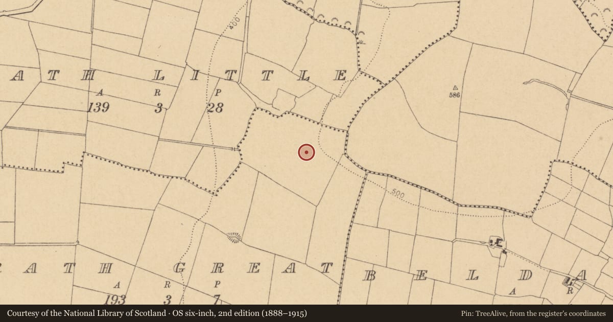 Ordnance Survey six-inch map, 2nd edition (1888–1915) covering the location of Field system, Rath Great, County Dublin, with a pin at the register's coordinates